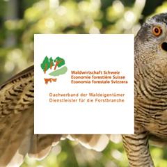 Waldwirtschaft Schweiz, WVS, Kampagne unser Wald. Nutzen für alle.